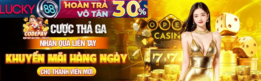 Biểu đồ phân tích hiệu suất trang web từ cookie